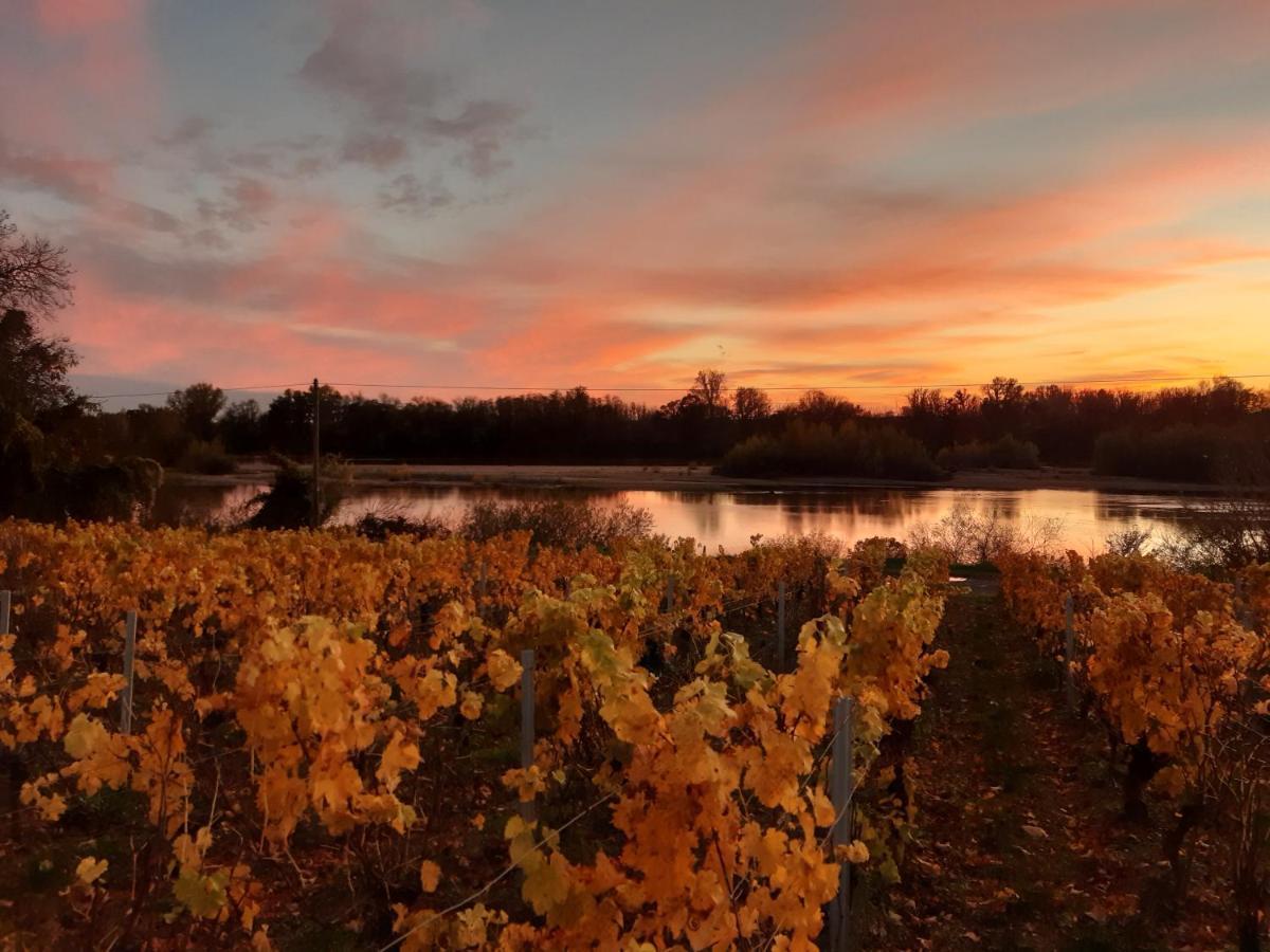 Ferienwohnung Aux Nids D'Hirondelles Pouilly-sur-Loire Exterior foto